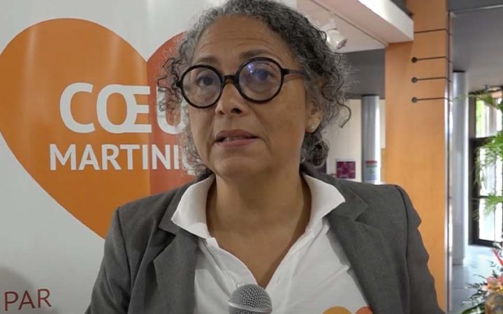 Interview Carole Foulard – vice-présidente de la CCI de Martinique